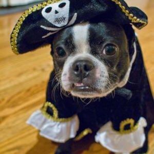 Meet your Posher, Debra